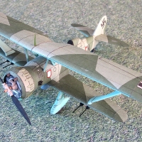 Hs-123 A-1 Hs-123 A-1