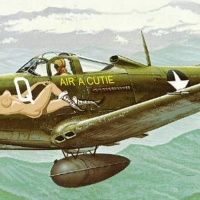 P-39 D